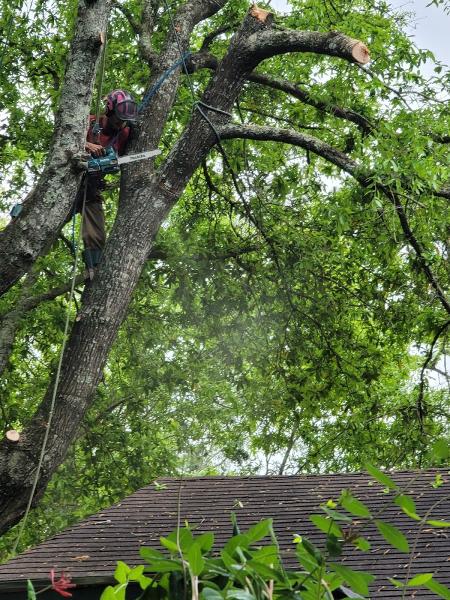 Allstate Tree Service
