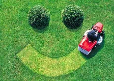 Pro Landscapes