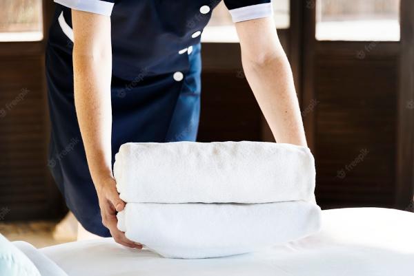 Lemon Water Carpet & Upholstery Cleaning