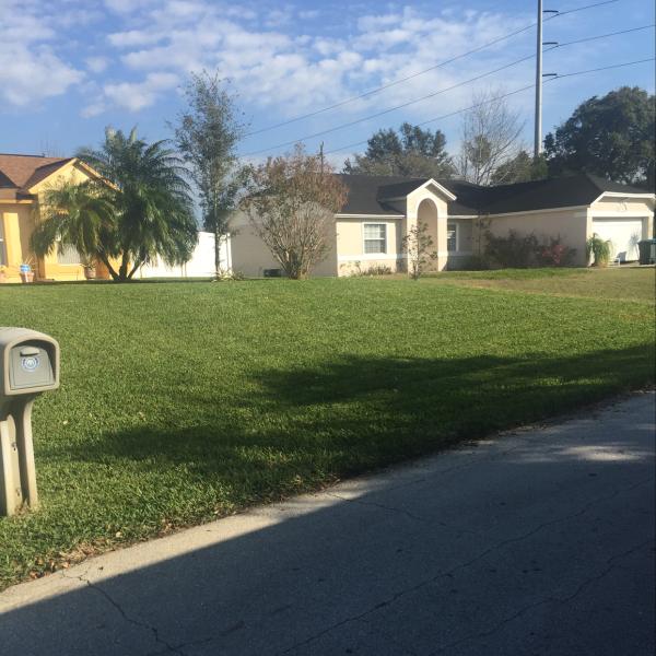 Scarano Lawn Care