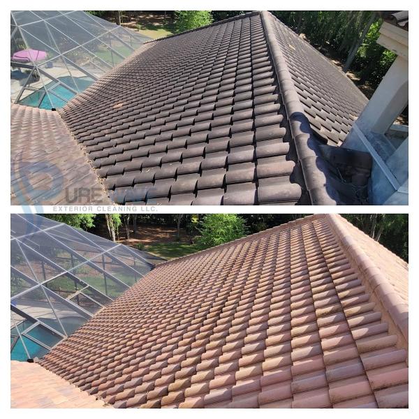 Pure Wave Exterior Cleaning LLC