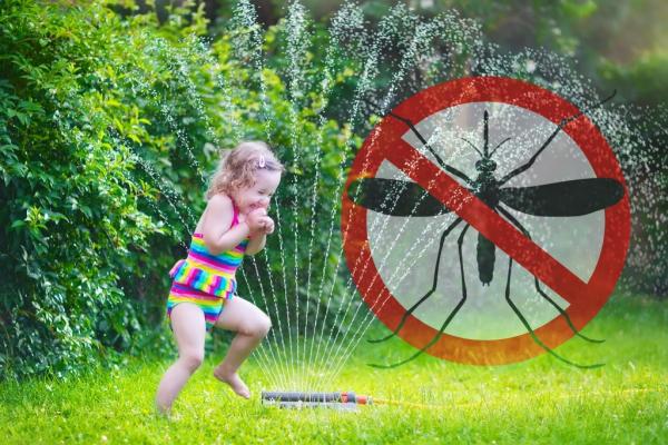 Knockout Mosquito Systems