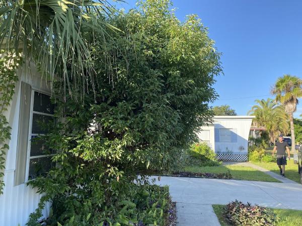 Floridian Debris Disposal
