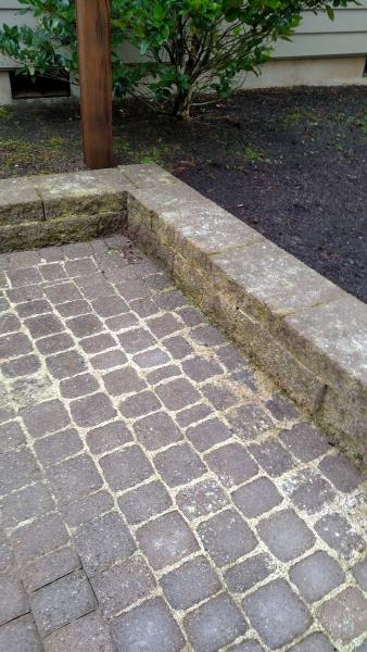 Jet Clean Pressure Washing