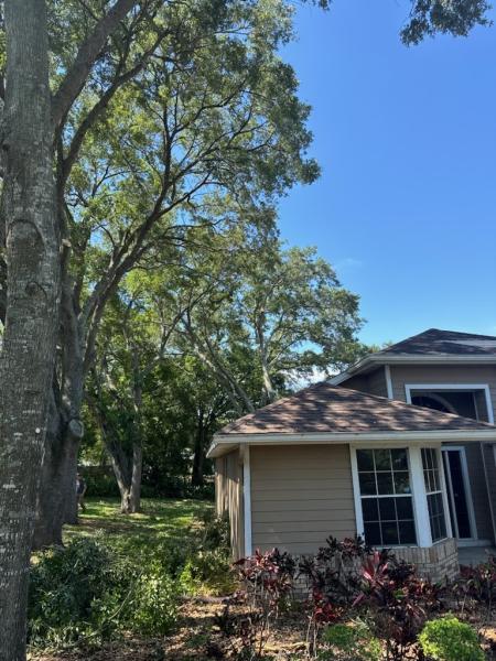 Top Notch Arbor Care