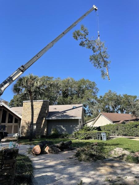Top Notch Arbor Care