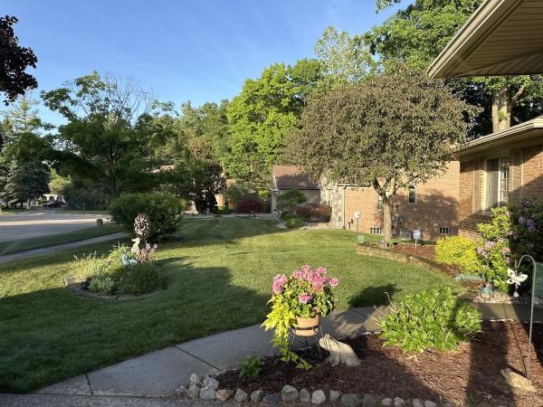 Affordable Sprinklers