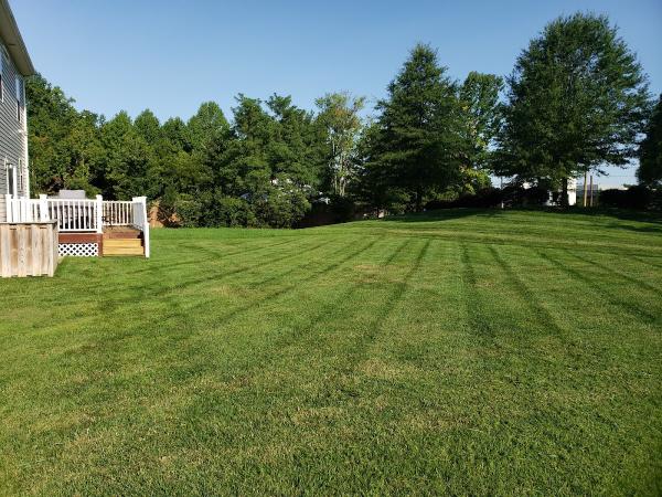 Herrera's Landscaping Services