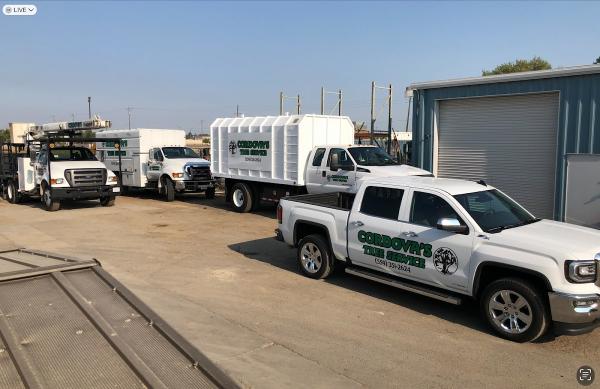 Cordova's Tree Service