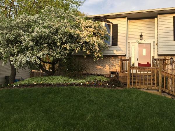 My Arboristllc