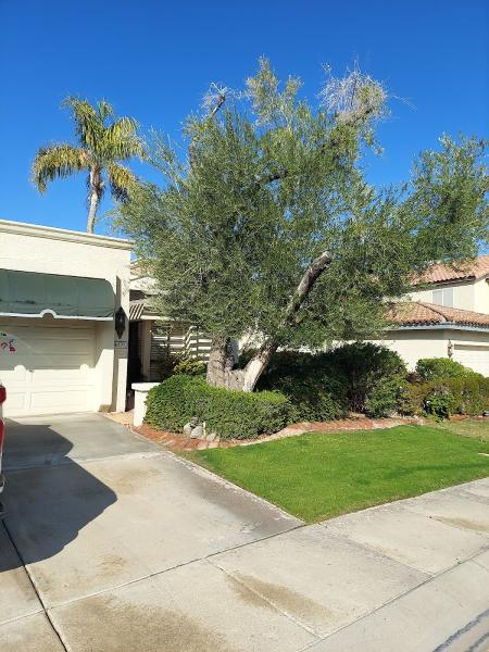 The Rachael Richards Group at R·house Realty