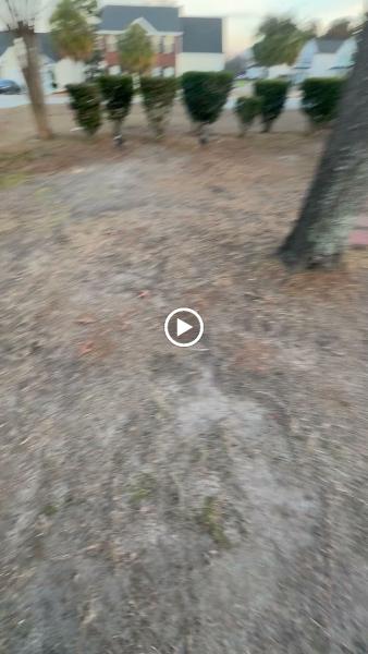 Sparta Lawn Care