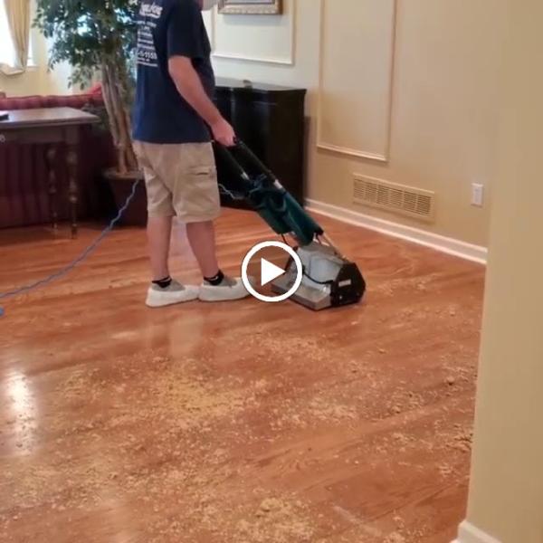 Bay Shore Carpet and Upholstery Cleaning LLC