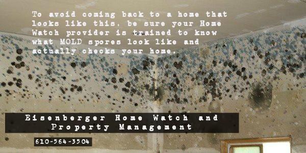 Eisenberger Home Watch