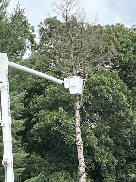 Christian Tree Service LLC