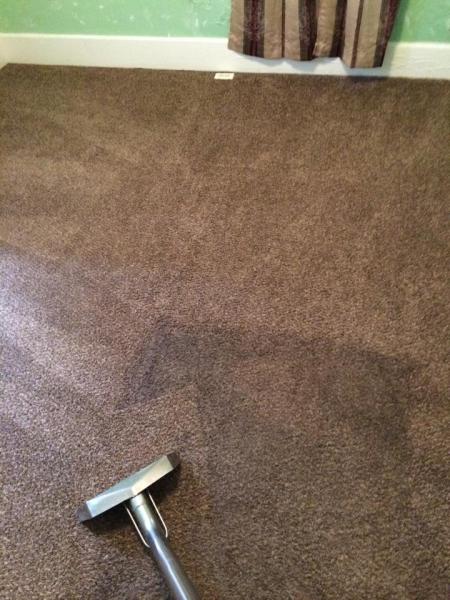 Mighty Blue Carpet Cleaning