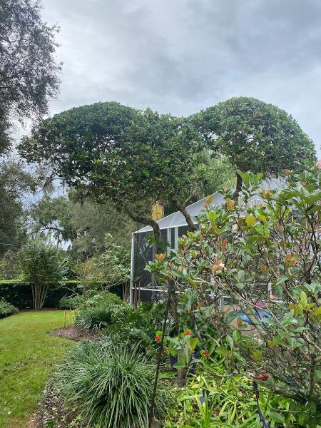 Horizon Palms Landscaping & Irrigation LLC