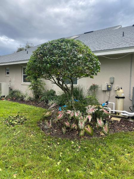 Horizon Palms Landscaping & Irrigation LLC