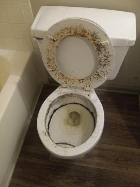 White Glove Cleaning NC