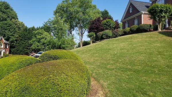 Aurora Lawn Care and Pressure Wash