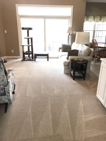 Perfect Maids House Cleaning