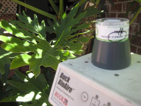 Mold Inspections Los Angeles