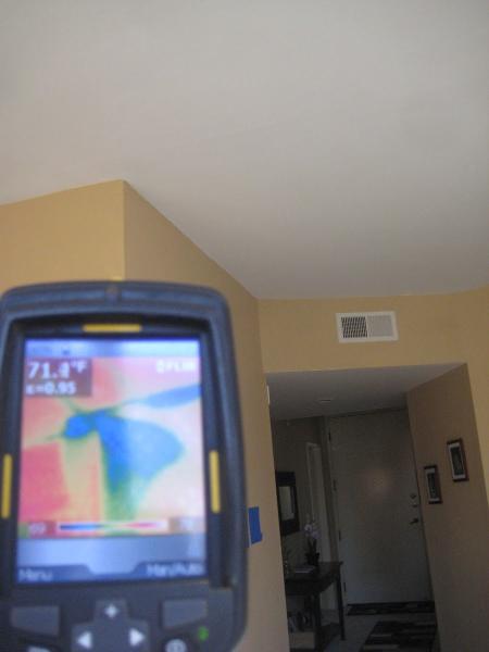 Mold Inspections Los Angeles