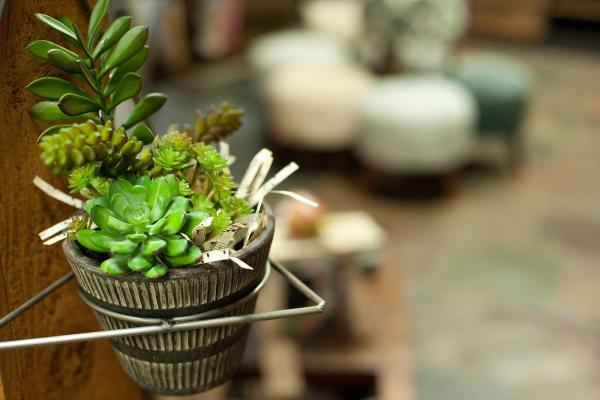 Hearth & Home Specialties Inc
