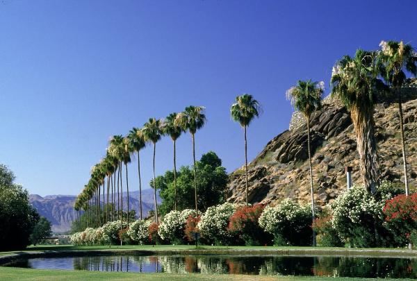 Coachella Valley Real Estate