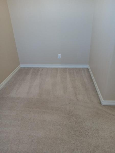 AZ Same Day Service Carpet Cleaning