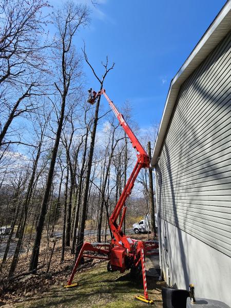 Harmony Tree Services