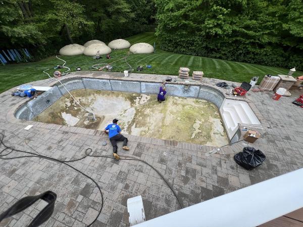 Evolution Pool Liners