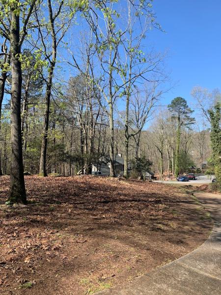Zamora Tree Service