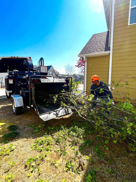 Zamora Tree Service