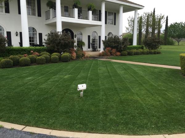 Douglas Landscapes LLC