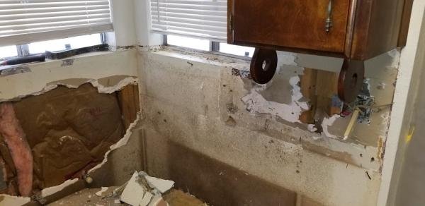 Alpha Water and Mold