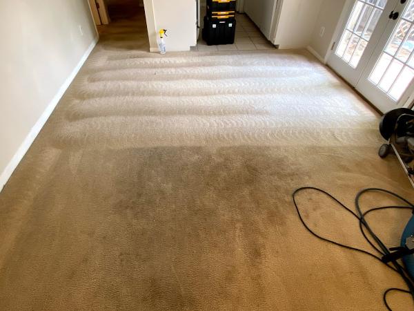 Full Steam Ahead Carpet Care