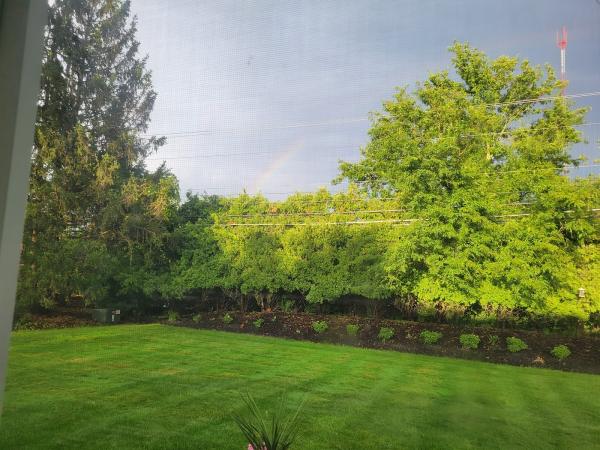 Go Green Lawn Care