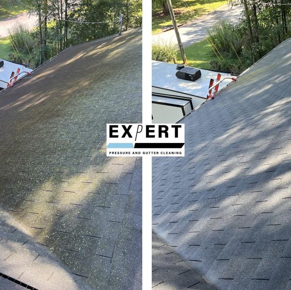Expert Pressure & Gutter Cleaning