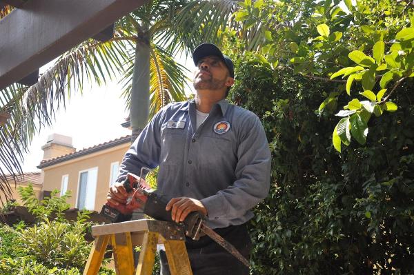 Newport Exterminating