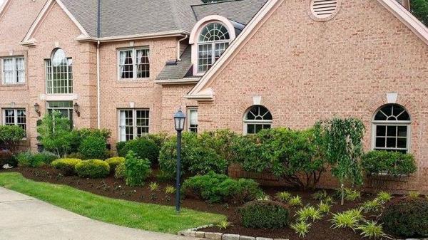 A&N Lawn Service Inc.