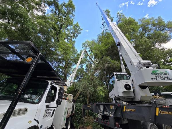 Gator Tree Service