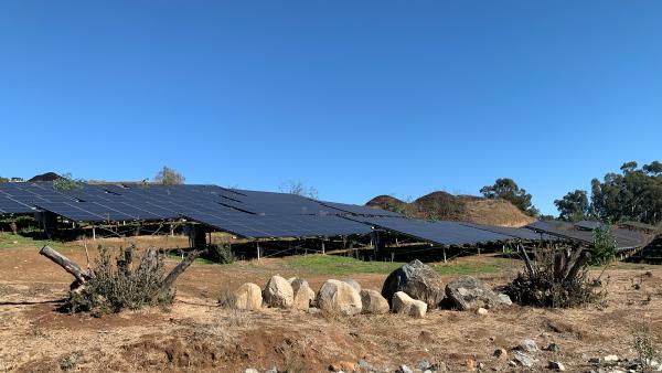 Gecko Solar Energy