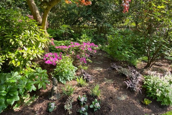Garden Insites