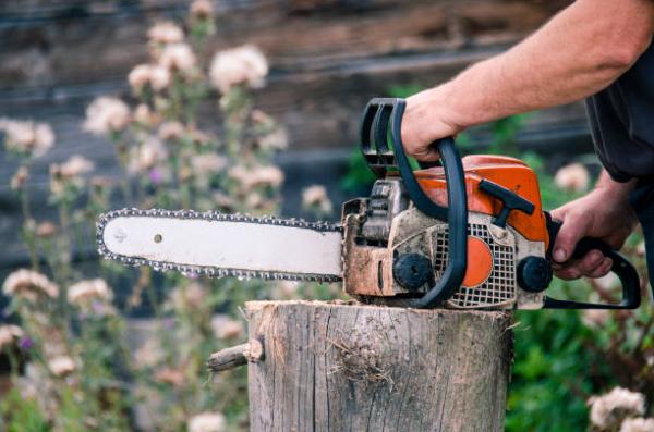 John's Tree Service