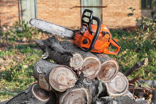 John's Tree Service