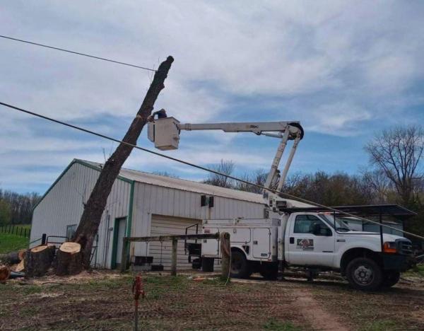 D&j's Complete Tree Service Inc