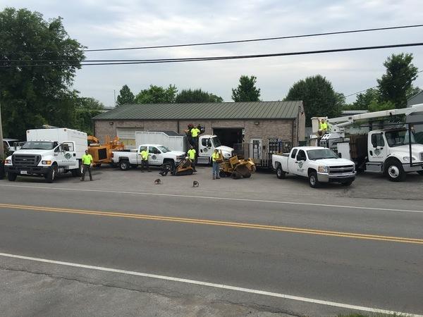 Aj's Tree Service