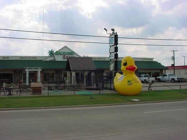 The Backyard Store