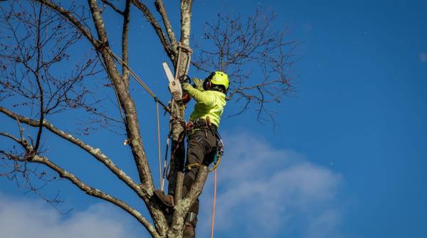 Bennett Outdoor Services